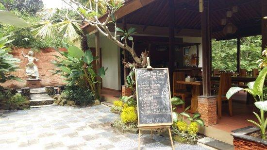 Jungle Frog Cafe