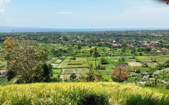 Bukit Belong