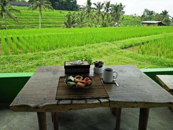 Green Cafe