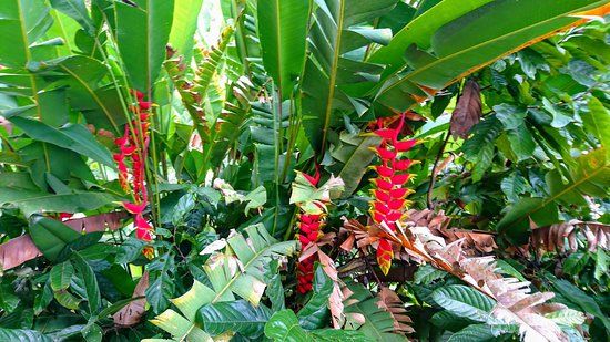 One Bali Agrowisata