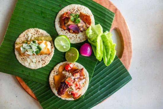 Cantina Taco Bar