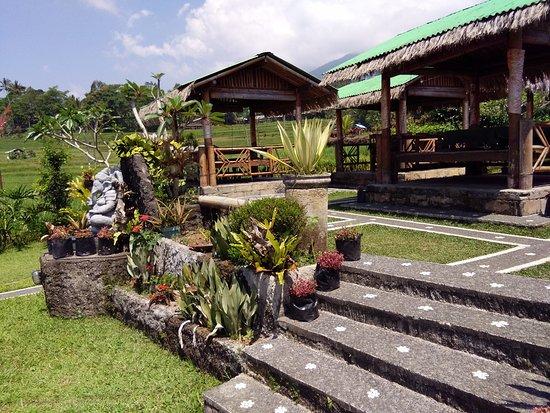 Warung Krisna D' Uma Jatiluwih