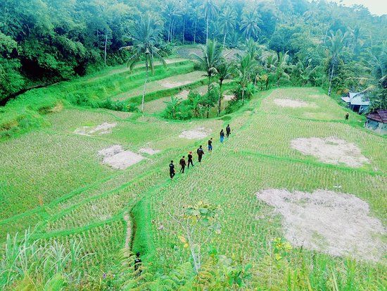 Perkemahan Kampoeng Peneng