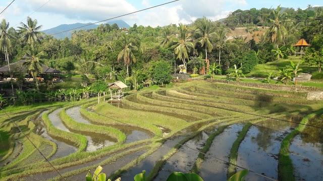 Krisna Adventure