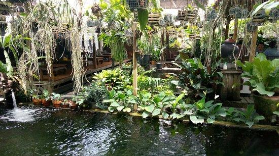 Warung Kedewatan