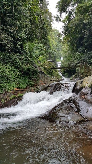 Gitgit Twin Waterfall