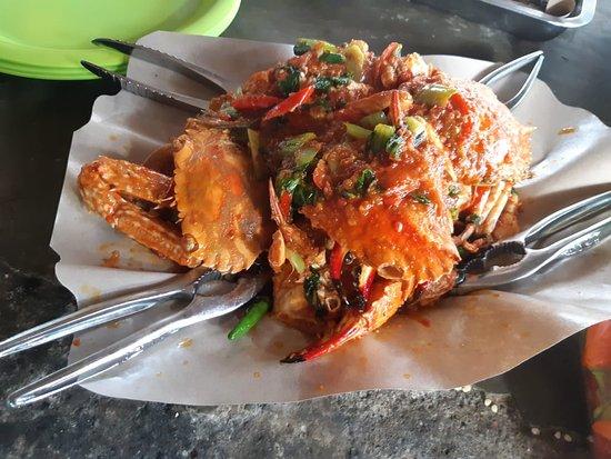 Warung Amphibia