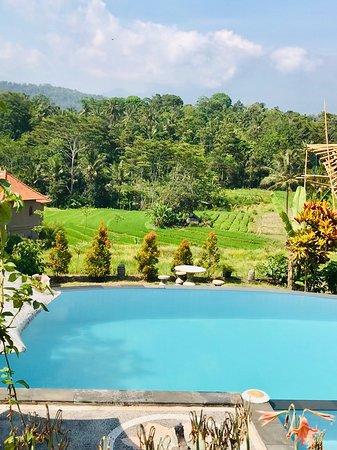 Giri Carik Warung