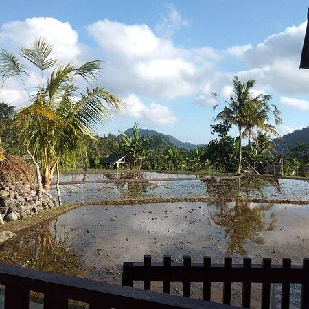 Warung Tirta Unda