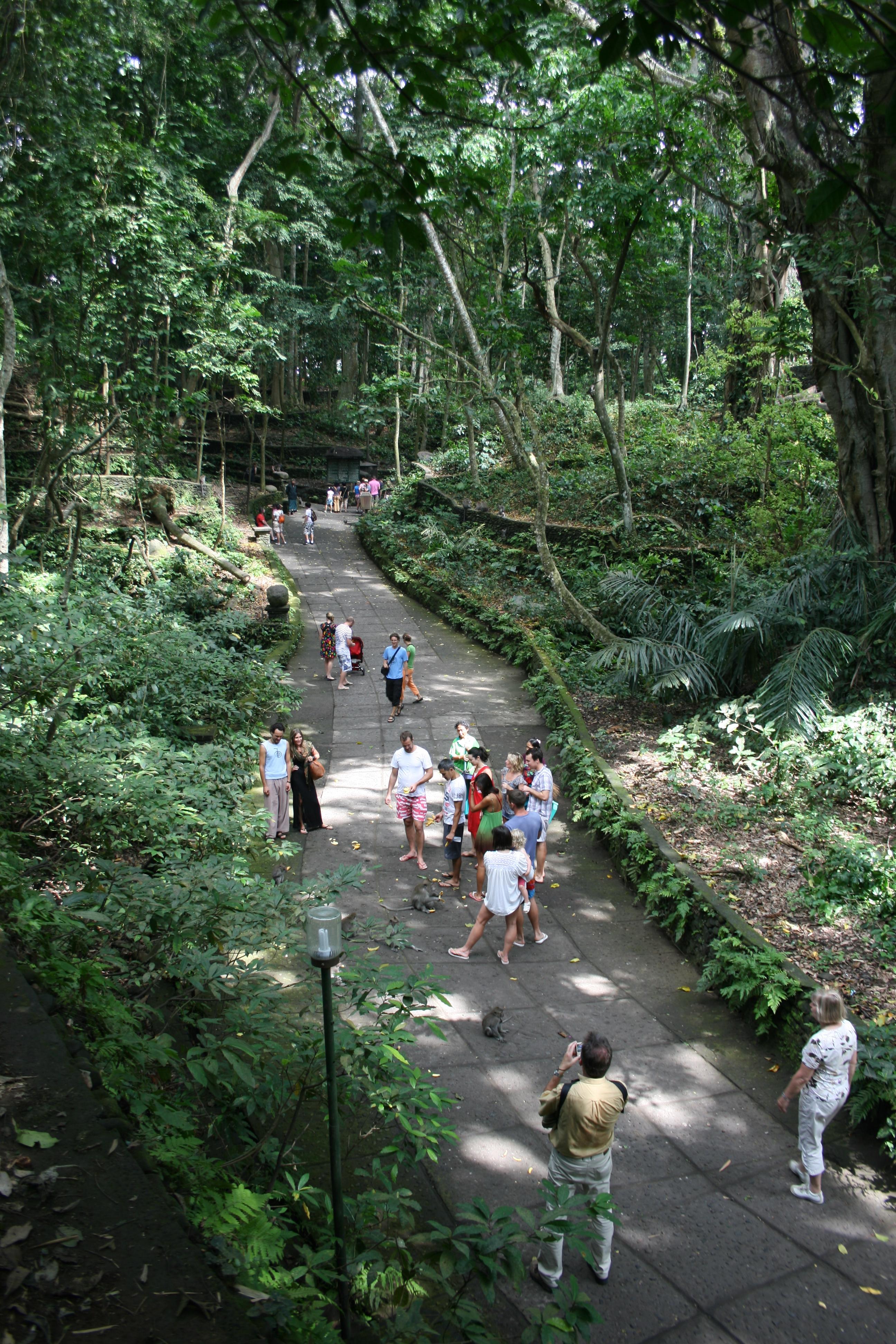 Mandala Wisata Wenara Wana