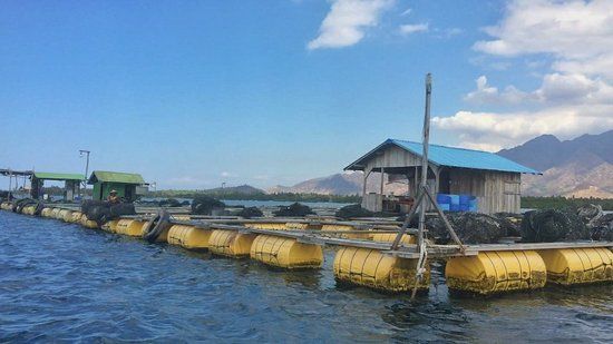 Gili Putih