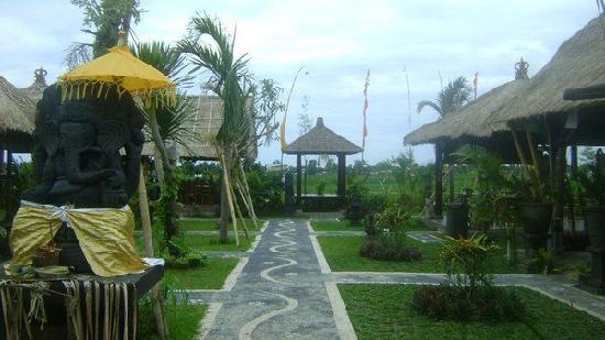Dapur Padi Sawah