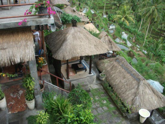 Rice Terrace Cafe