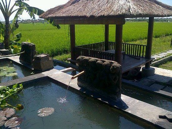 Warung Bebek D'Uma