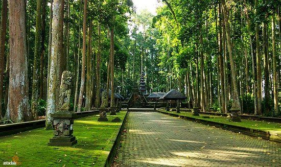 Sangeh Monkey Forest