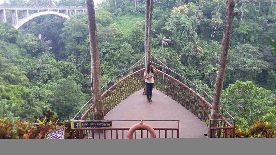 Tanah Wuk