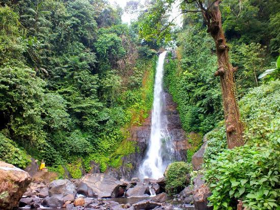 Air Terjun Gitgit