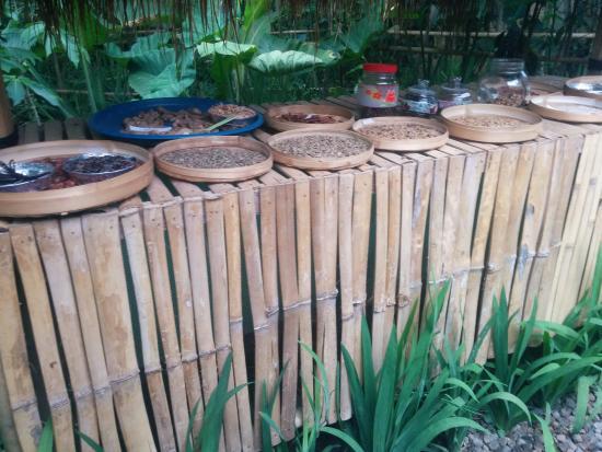 Oka Agro Wisata