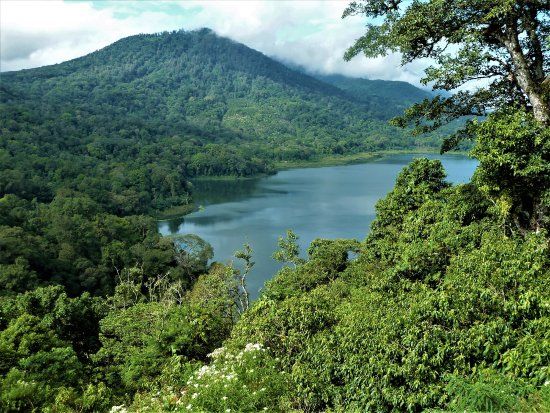 Tamblingan Lake