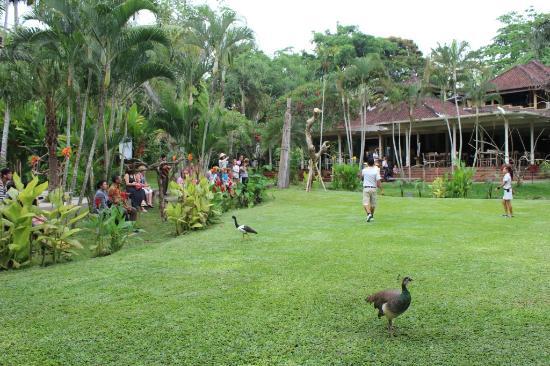 Taman Burung