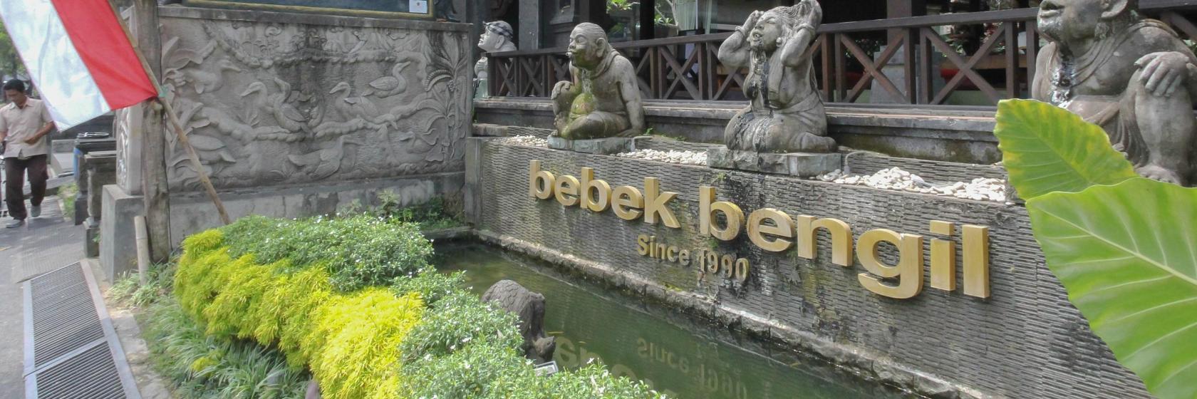 Bebek Bengil